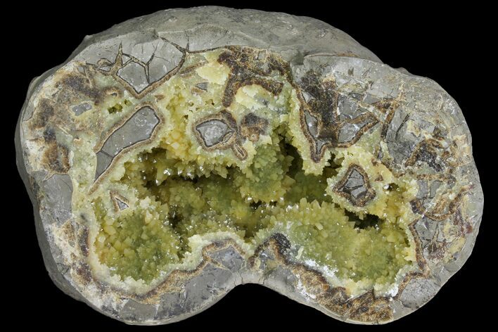 Yellow Crystal Filled Septarian Geode ( lbs) - Utah #135441